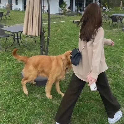 暗河传