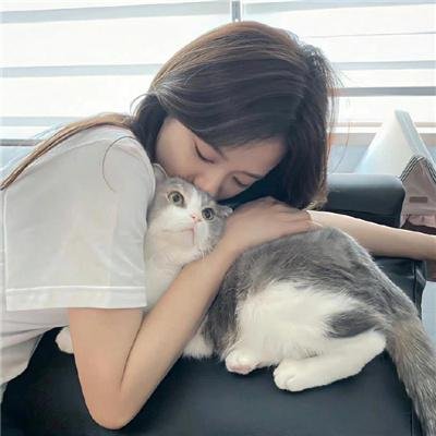 哈里·蒙特
